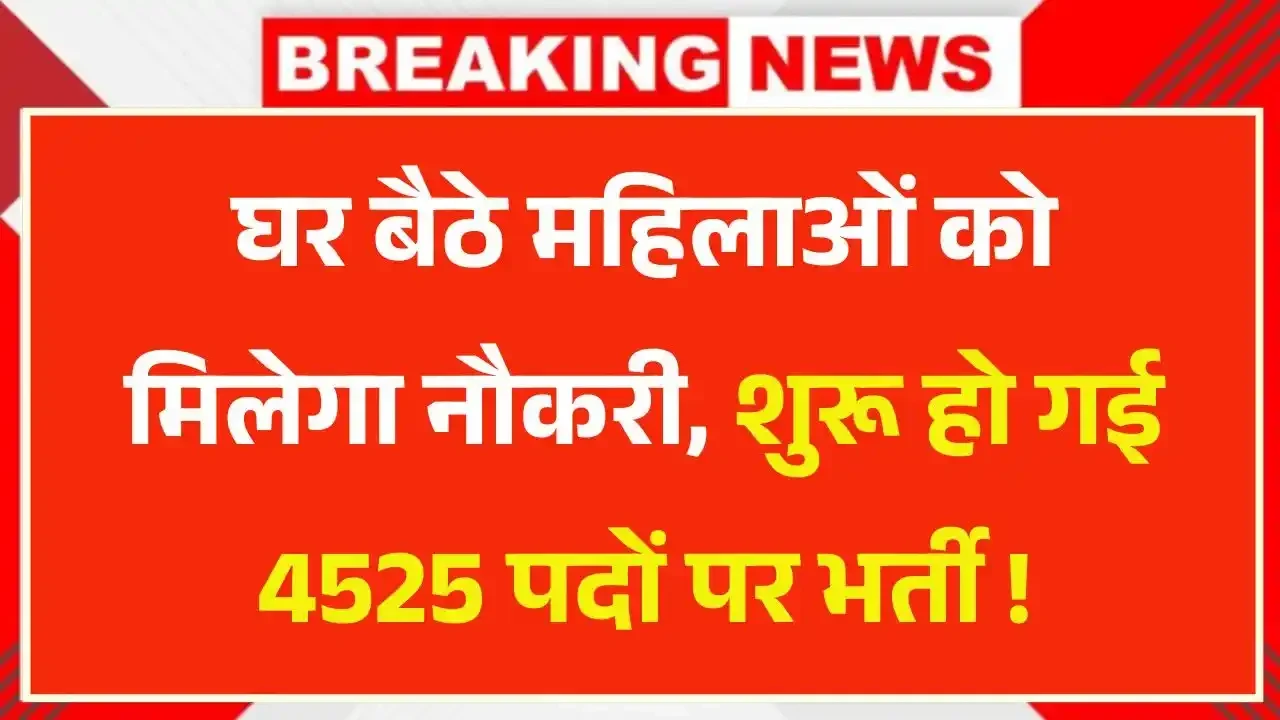 Mukhyamantri Work From Home Yojana